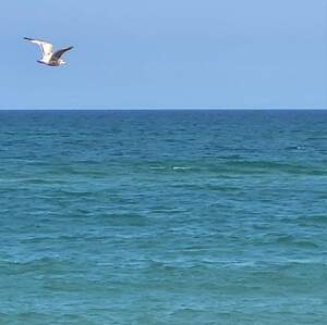 FB IMG 1690142133881