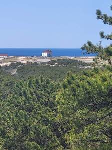 FB IMG 1690142381557