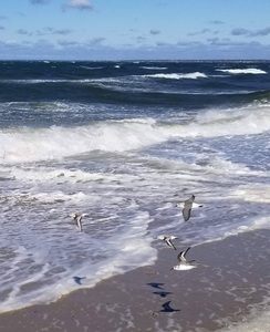 Resized 20201017 170521