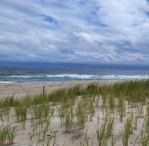 Resized 20220907 1342593