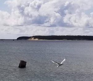 Resized FB IMG 15877446499756