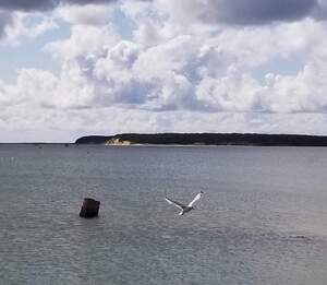 received 175319228751323