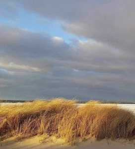 received 5822509684538944