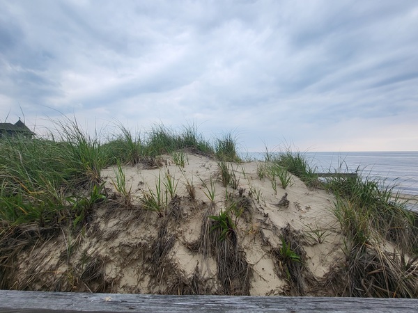 20230607 161605 Print