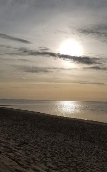 facebook 1659052387052 6958570063229877592 Print