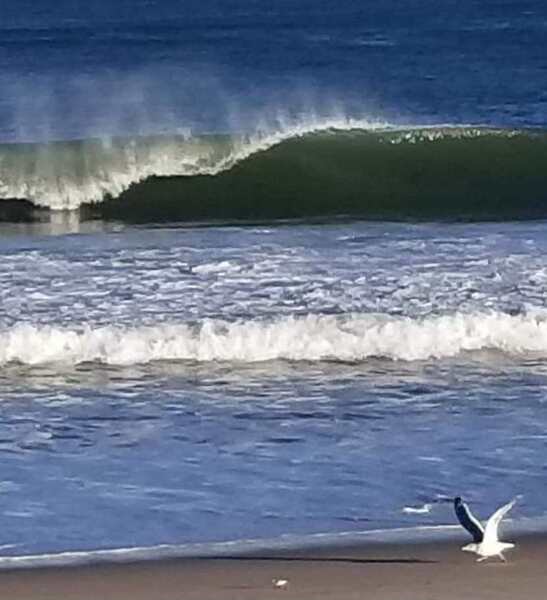 received 223909477200943 Print