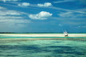 Waiting for High Tide