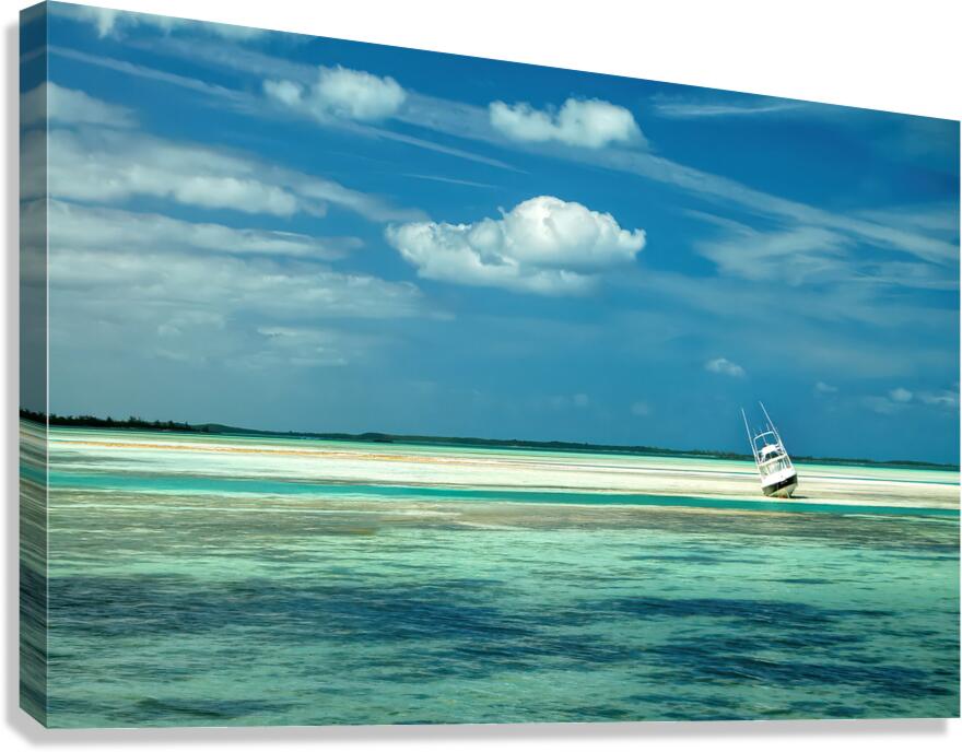 Waiting for High Tide Canvas Print