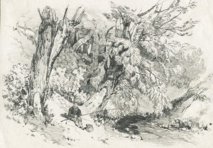 Graphite Drawing Print