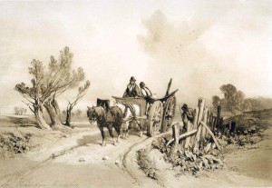 In Barnham Marshes Print