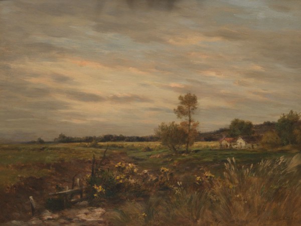 Field in sunset Print