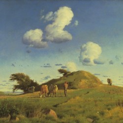 Hankehoj