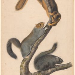 John James Audubon 