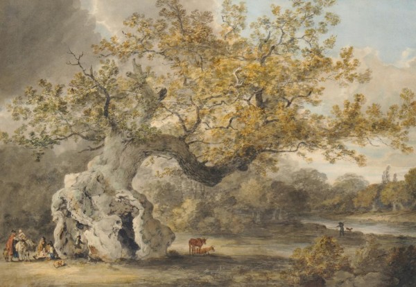 An old tree Print