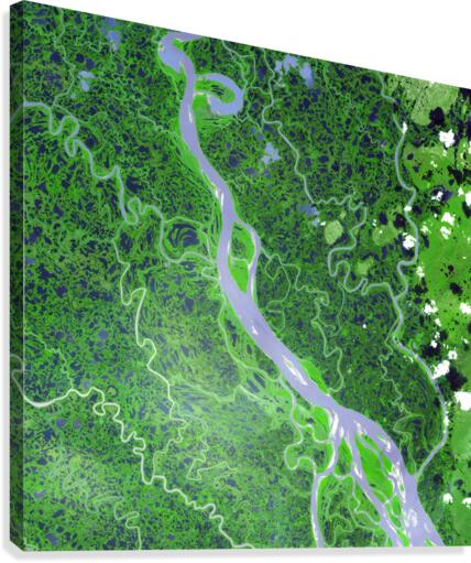 Mackenzie River Canvas Print