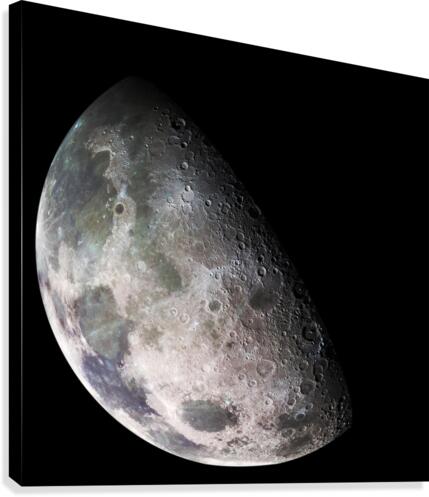 Moon Canvas Print
