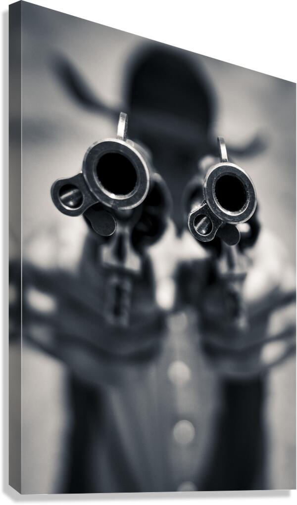 Double Barrel  Canvas Print