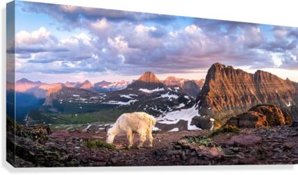 Mount Oberlin Canvas Print