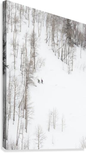backcountry skiing Canvas Print