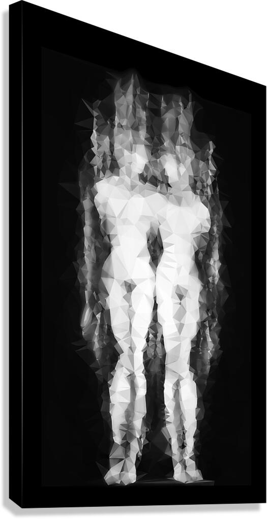 Twins Canvas Print
