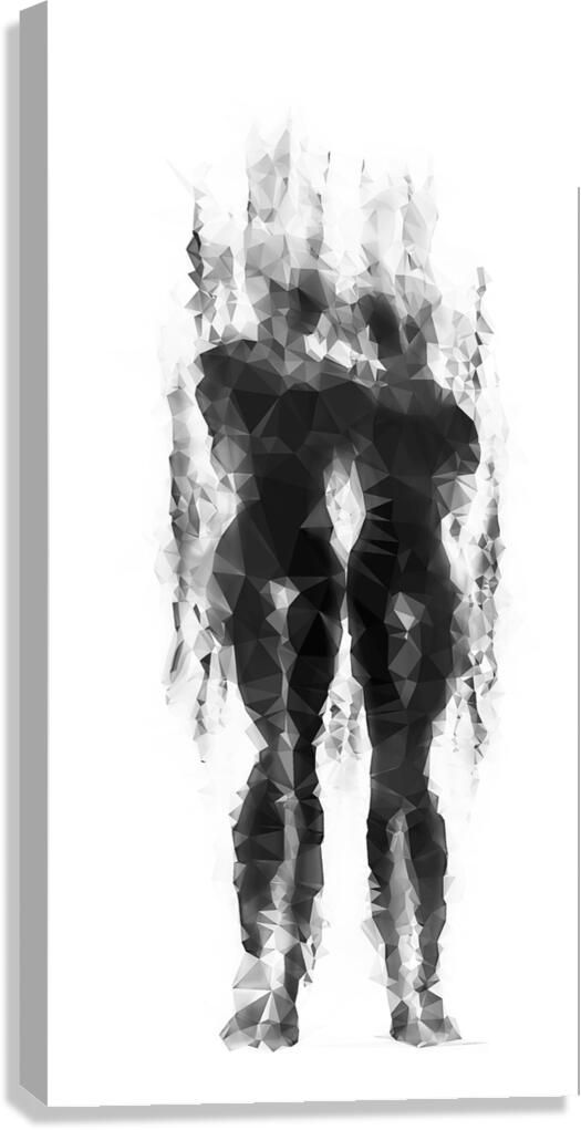 Twins  Canvas Print
