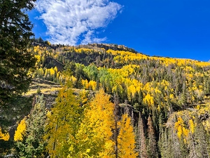 Autumn in Ouray Colorado