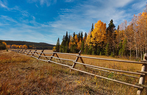 Autumn in Nederland Colorado