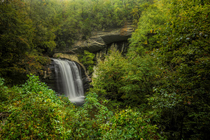 Looking Glass Falls 3