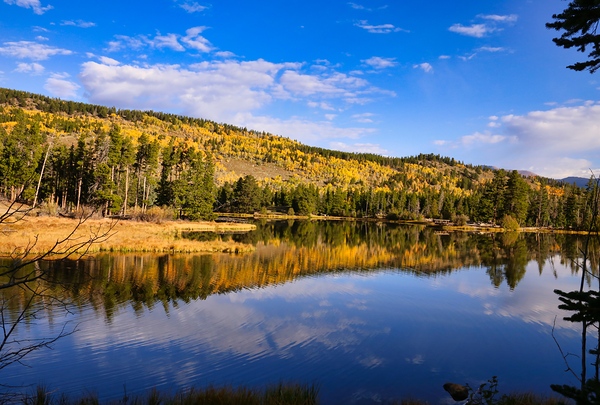 Fall Reflections at Sprague Lake by Judy Vincent Photography