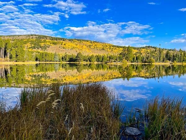 Sprague Lake Reflections by Judy Vincent Photography
