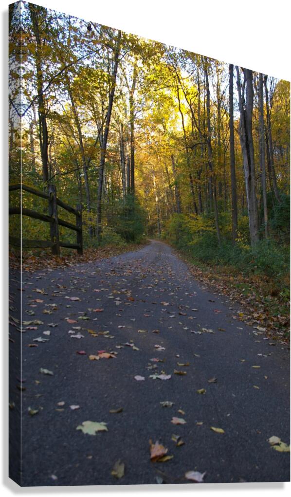 File 003 Canvas Print