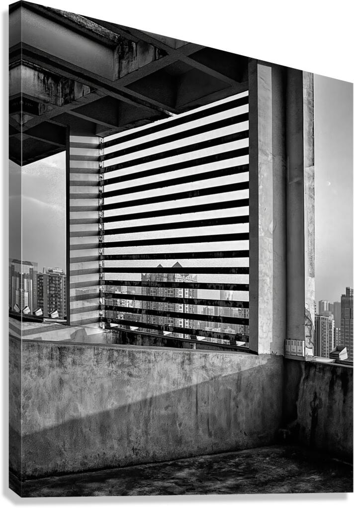 Rooftop Noir Canvas Print