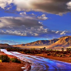 LIMITED EDITION of 10 : Southwest Desert Panorama: Blue Sky and Storm Clouds