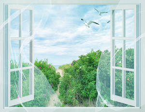 Beach Path Outside My Window