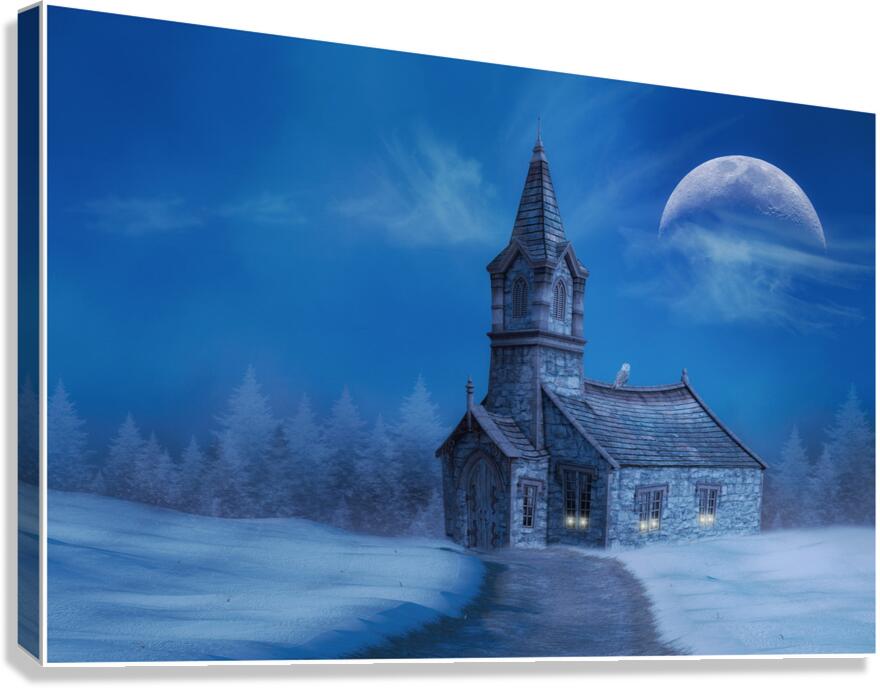 The Church Owl Canvas Print
