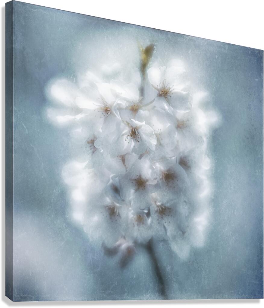 Feeling Blue Canvas Print