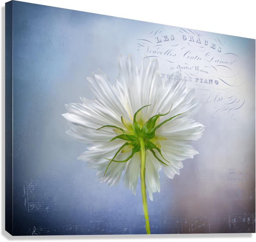 Remember Paris Canvas Print