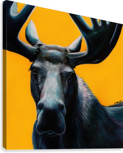 Moose Canvas Print