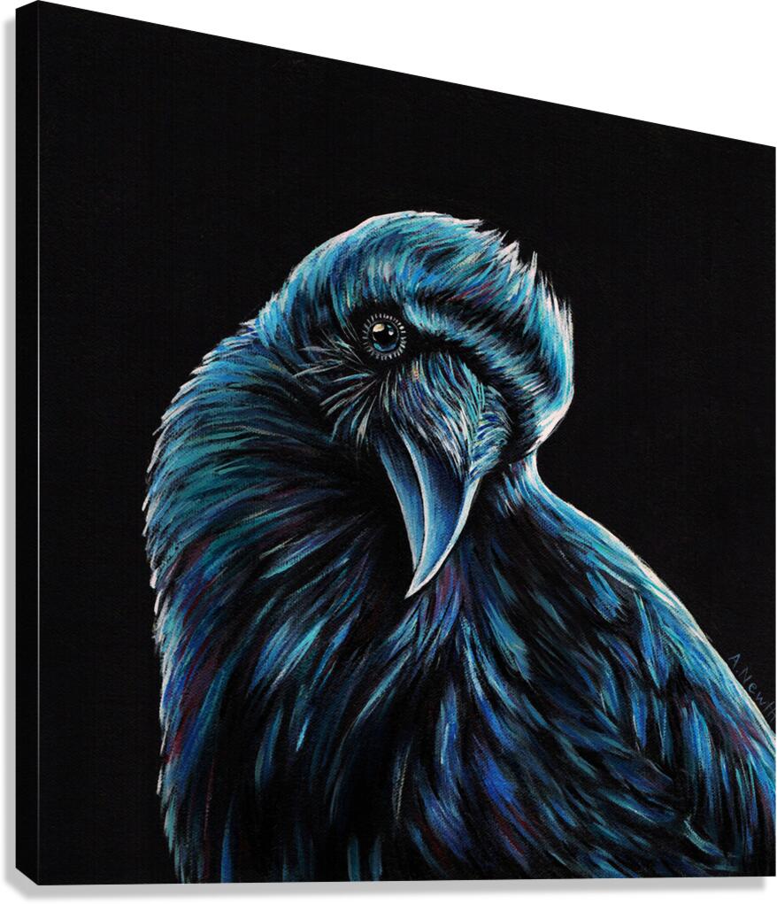 Curious Raven Canvas Print
