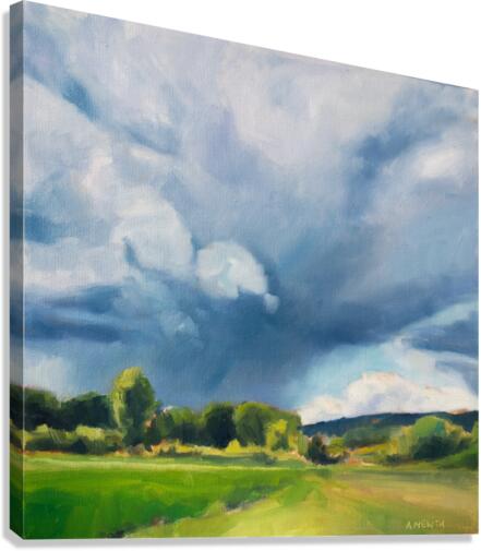 Summer Rain Canvas Print