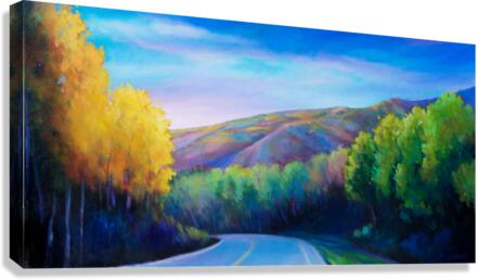 Road to Bear Flat Canvas Print