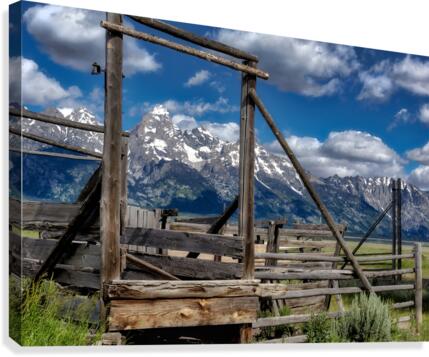 Mormon Row Canvas Print
