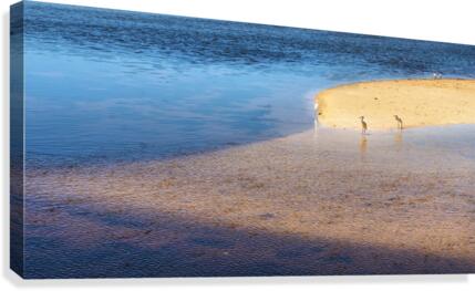 Sanibel Canvas Print