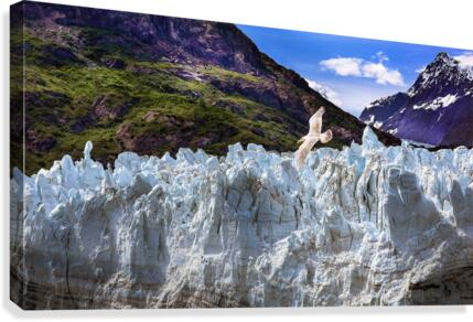 Glacier Bay Canvas Print