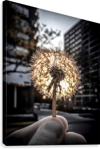 makeawish Canvas Print