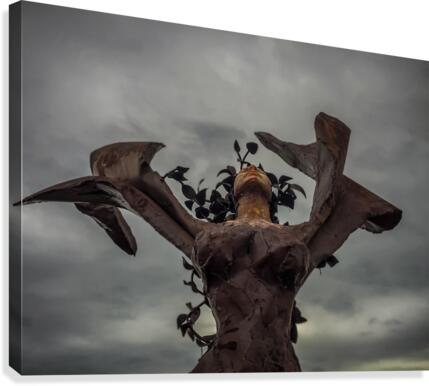 free Canvas Print