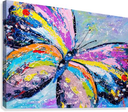Butterfly  Canvas Print