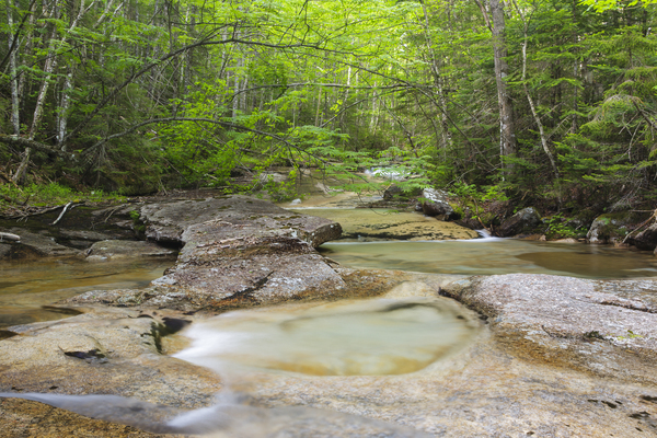 Crystal Brook - Pemigewasset Wilderness New Hampshire by ScenicNH Photography