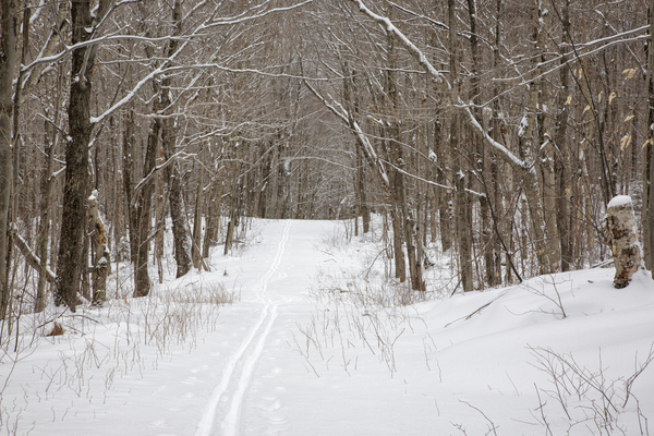 Lafayette Ski Trails - Franconia New Hampshire by ScenicNH Photography
