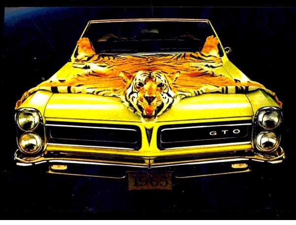 Little GTO Print
